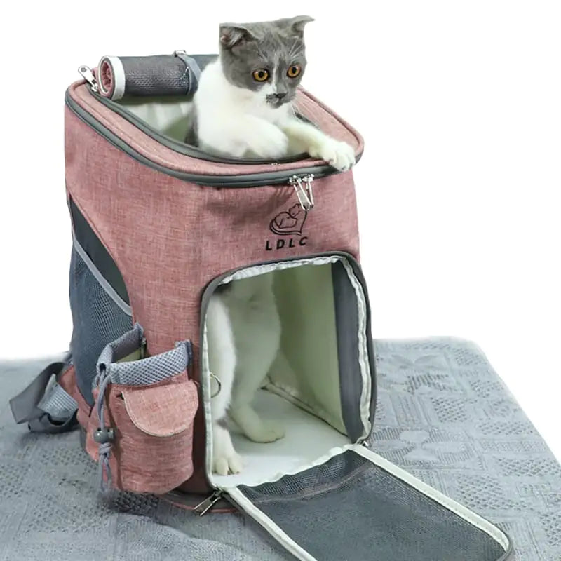 Pet Carrier Bag for Small Dogs and Cats